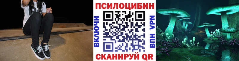 Псилоцибиновые грибы Psilocybine cubensis  где можно купить   Новоульяновск 